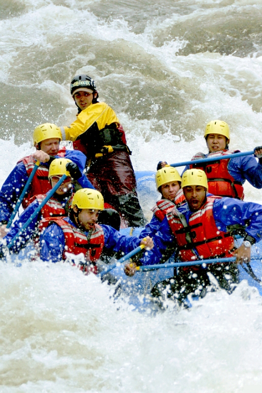 Raft 11 